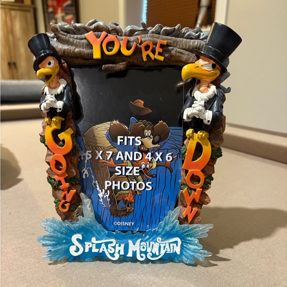 Disney Splash Mountain picture frame.
